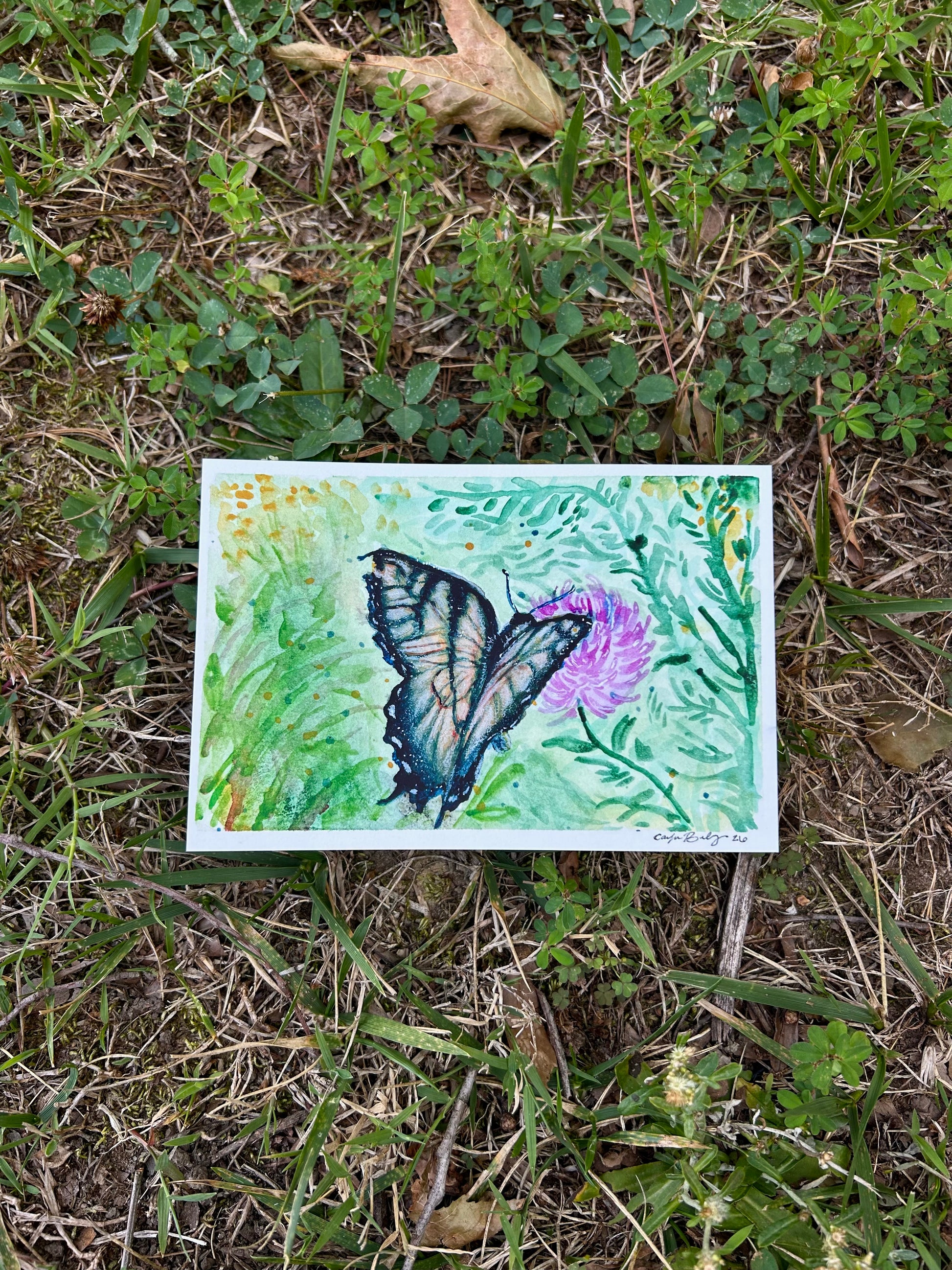 Black and orange butterfly flying near a pink flower blossom surrounded by grass.