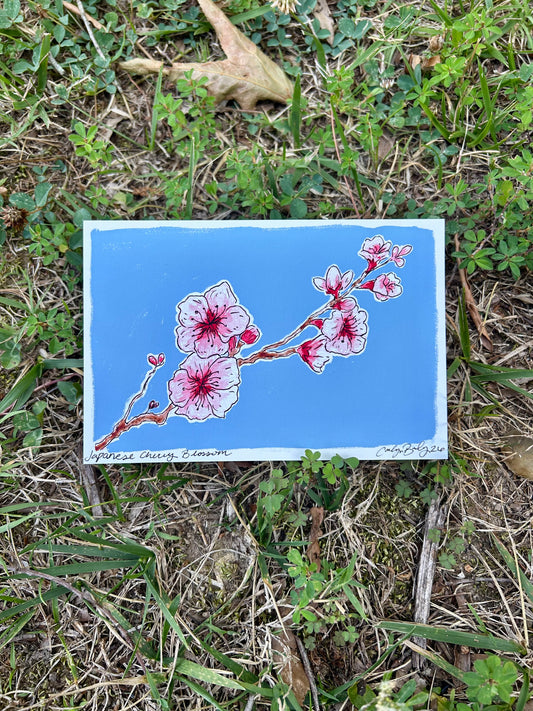 Japanese cherry blossom flowers on a tree branch with a blue background.